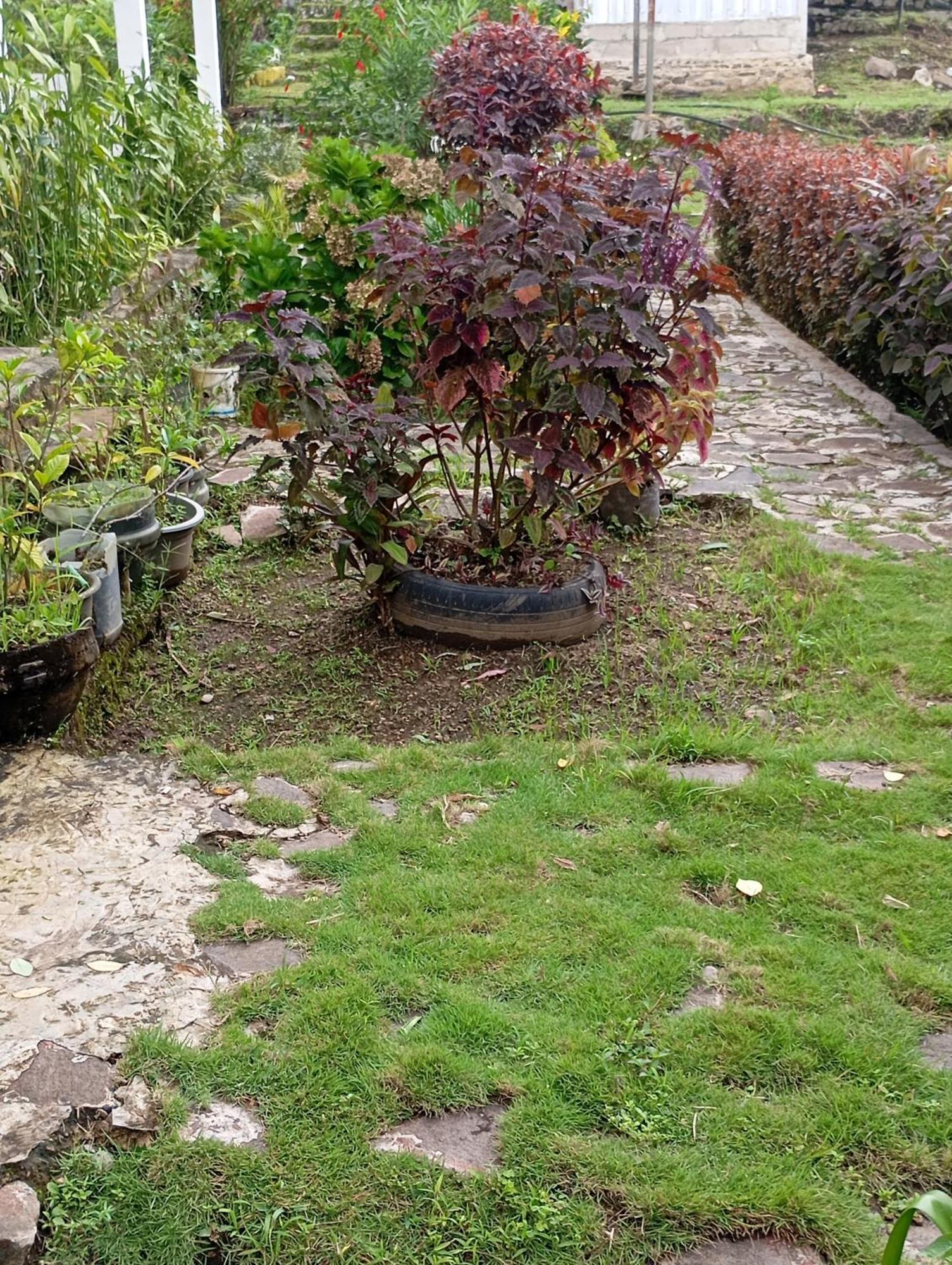 Hidayah Homestay Kelimutu Exterior photo