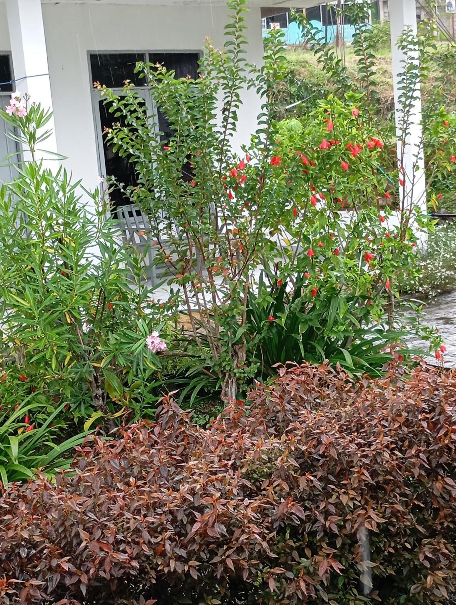 Hidayah Homestay Kelimutu Exterior photo